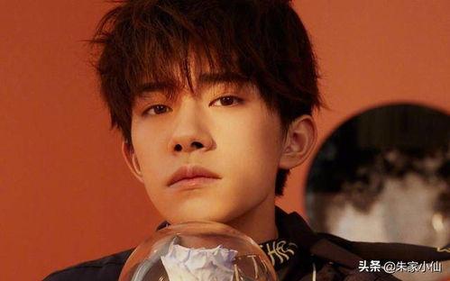 娱乐吃瓜杨洋视频,娱乐圈幕后趣事大揭秘