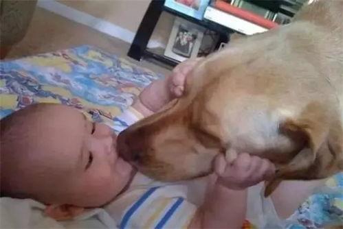 奶娃图片,治愈系宝宝写真集