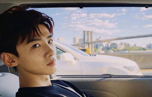 娱乐圈理性吃瓜白敬亭,娱乐圈理性吃瓜者的智慧与魅力